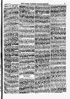 North British Agriculturist Wednesday 11 November 1874 Page 17