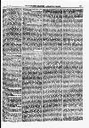 North British Agriculturist Wednesday 25 November 1874 Page 7