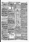 North British Agriculturist Wednesday 25 November 1874 Page 13