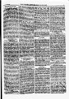 North British Agriculturist Wednesday 23 December 1874 Page 23