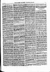 North British Agriculturist Wednesday 02 June 1875 Page 21