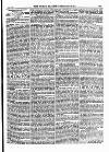 North British Agriculturist Wednesday 14 July 1875 Page 13