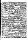 North British Agriculturist Wednesday 18 August 1875 Page 5