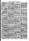 North British Agriculturist Wednesday 08 September 1875 Page 19