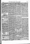 North British Agriculturist Wednesday 01 December 1875 Page 11