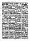 North British Agriculturist Wednesday 05 January 1876 Page 19