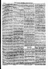 North British Agriculturist Wednesday 24 May 1876 Page 19