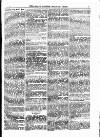 North British Agriculturist Wednesday 05 July 1876 Page 17