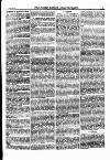 North British Agriculturist Wednesday 30 August 1876 Page 17