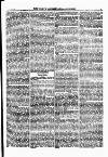 North British Agriculturist Wednesday 30 August 1876 Page 19