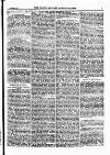 North British Agriculturist Wednesday 20 September 1876 Page 23