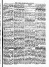 North British Agriculturist Wednesday 03 January 1877 Page 19