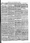 North British Agriculturist Wednesday 28 February 1877 Page 21