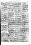 North British Agriculturist Wednesday 28 March 1877 Page 25