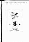 North British Agriculturist Wednesday 25 July 1877 Page 25