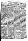 North British Agriculturist Wednesday 29 January 1879 Page 7