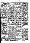 North British Agriculturist Wednesday 29 January 1879 Page 11