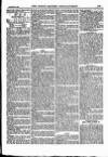 North British Agriculturist Wednesday 22 September 1880 Page 13