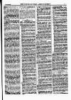 North British Agriculturist Wednesday 04 January 1882 Page 11