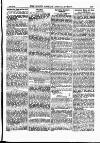 North British Agriculturist Wednesday 20 June 1883 Page 7