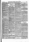 North British Agriculturist Wednesday 02 January 1884 Page 15