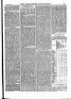 North British Agriculturist Wednesday 23 January 1884 Page 13