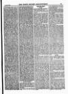 North British Agriculturist Wednesday 30 January 1884 Page 11