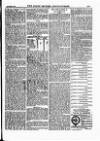 North British Agriculturist Wednesday 03 September 1884 Page 15