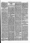 North British Agriculturist Wednesday 04 February 1885 Page 11