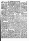 North British Agriculturist Wednesday 04 February 1885 Page 15