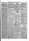 North British Agriculturist Wednesday 04 February 1885 Page 17