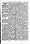 North British Agriculturist Wednesday 20 October 1886 Page 5
