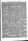 North British Agriculturist Wednesday 02 November 1887 Page 13