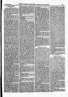 North British Agriculturist Wednesday 29 January 1890 Page 11