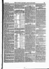 North British Agriculturist Wednesday 04 February 1891 Page 15