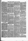 North British Agriculturist Wednesday 11 January 1893 Page 7