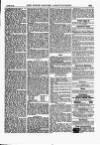 North British Agriculturist Wednesday 16 August 1893 Page 15