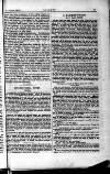 Liberty Saturday 01 September 1894 Page 7