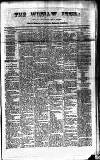 Wishaw Press Saturday 08 January 1876 Page 1