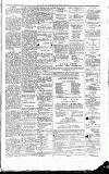 Wishaw Press Saturday 24 February 1877 Page 3