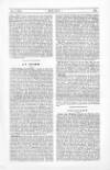 Brief Saturday 08 December 1877 Page 19