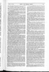 Brief Friday 23 April 1880 Page 13