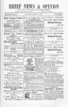 Brief Saturday 12 March 1881 Page 3