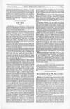 Brief Saturday 12 March 1881 Page 19
