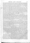 British Army Despatch Friday 31 January 1851 Page 5