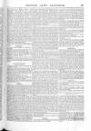 British Army Despatch Friday 18 June 1852 Page 7