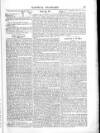 British Army Despatch Friday 19 January 1855 Page 15