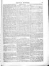 British Army Despatch Friday 09 February 1855 Page 15
