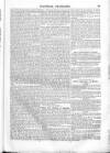 British Army Despatch Friday 25 January 1856 Page 15
