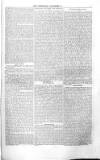 City Chronicle Tuesday 22 November 1842 Page 7